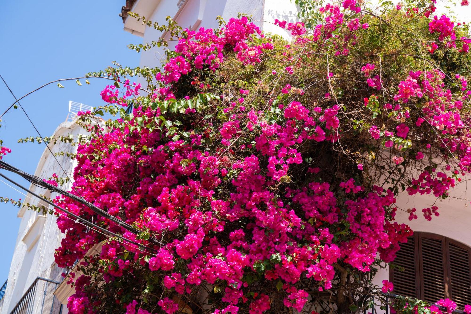 Marbella Luxury Duplex 106 Close To The Beach Exterior photo